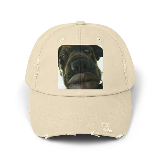 Baseball Cap Silly Dog Hat