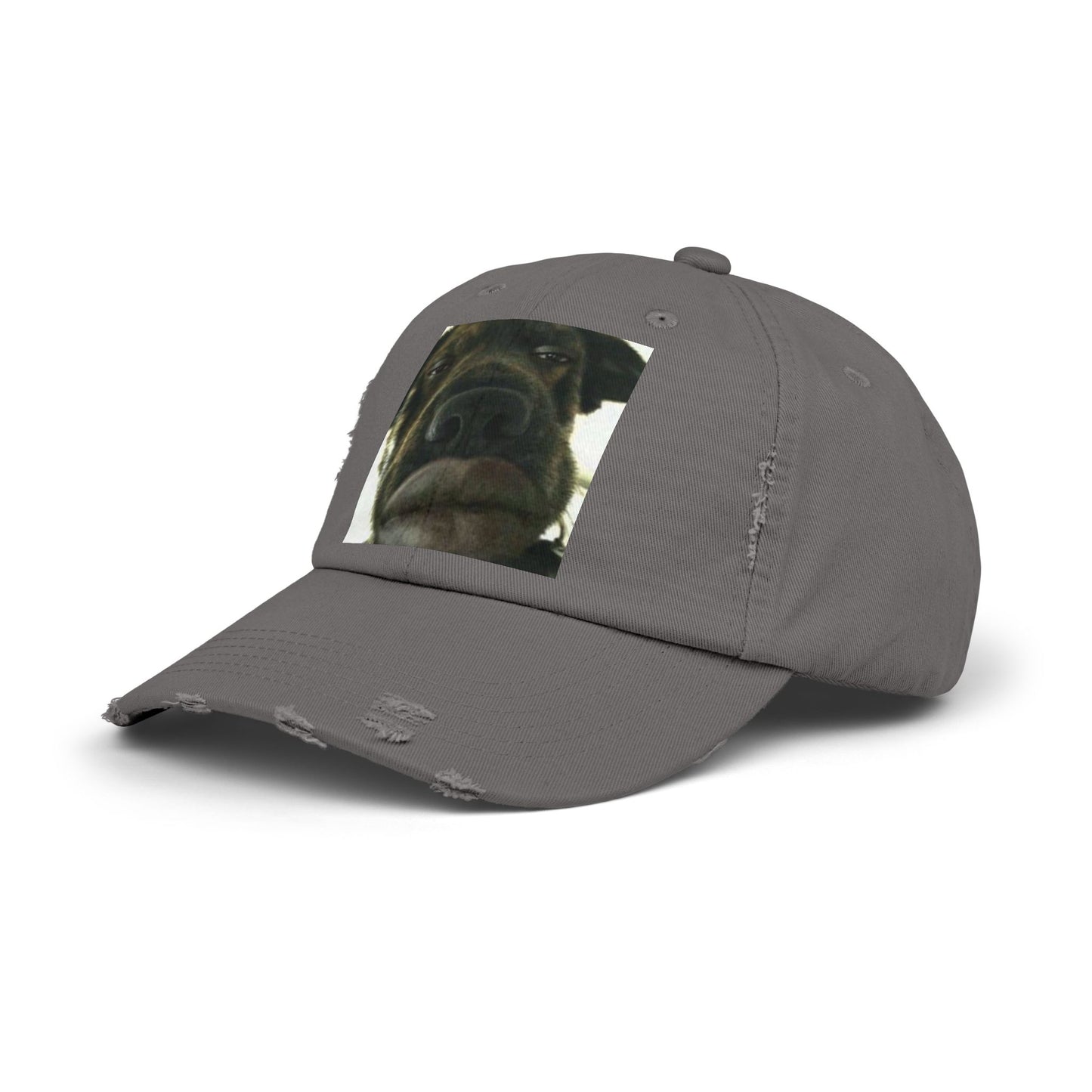 Baseball Cap Silly Dog Hat