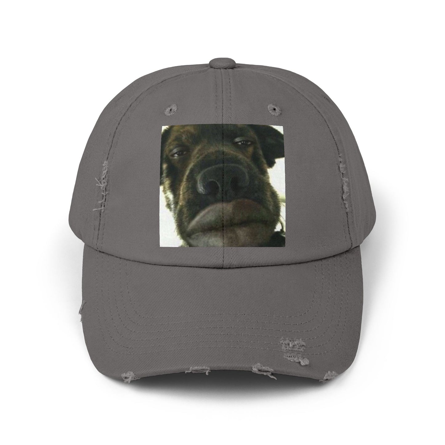 Baseball Cap Silly Dog Hat