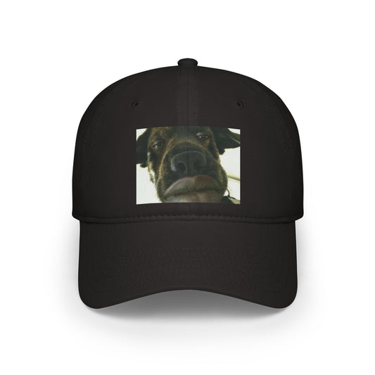 Baseball Cap Silly Dog Hat