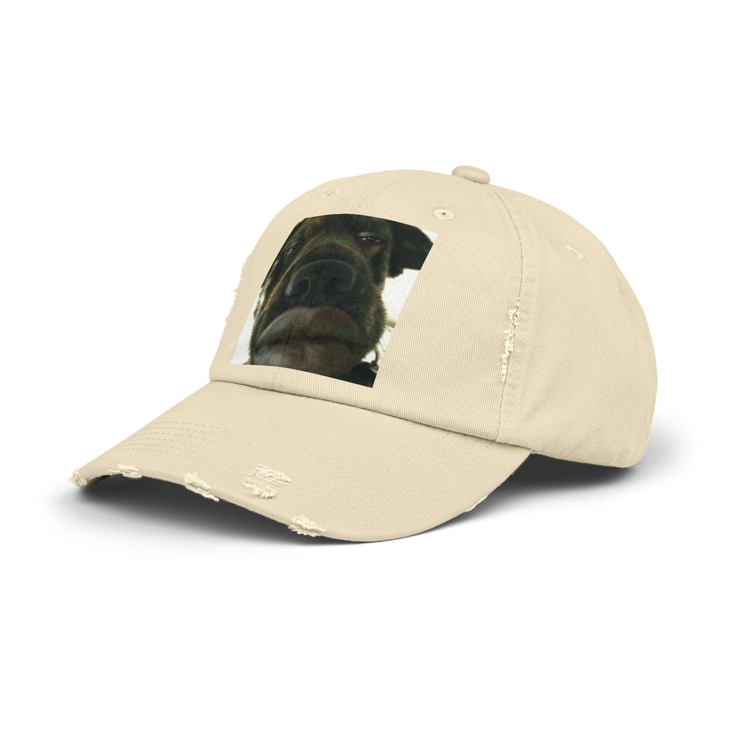 Baseball Cap Silly Dog Hat