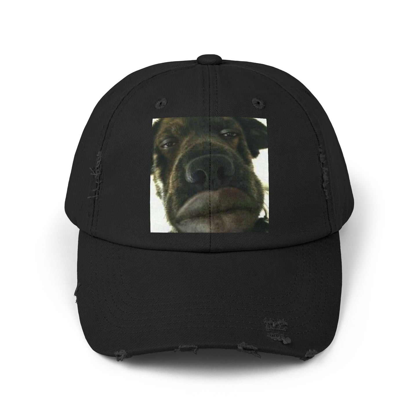 Baseball Cap Silly Dog Hat