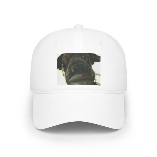 Baseball Cap Silly Dog Hat